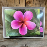 Handmade Pictured Note Cards